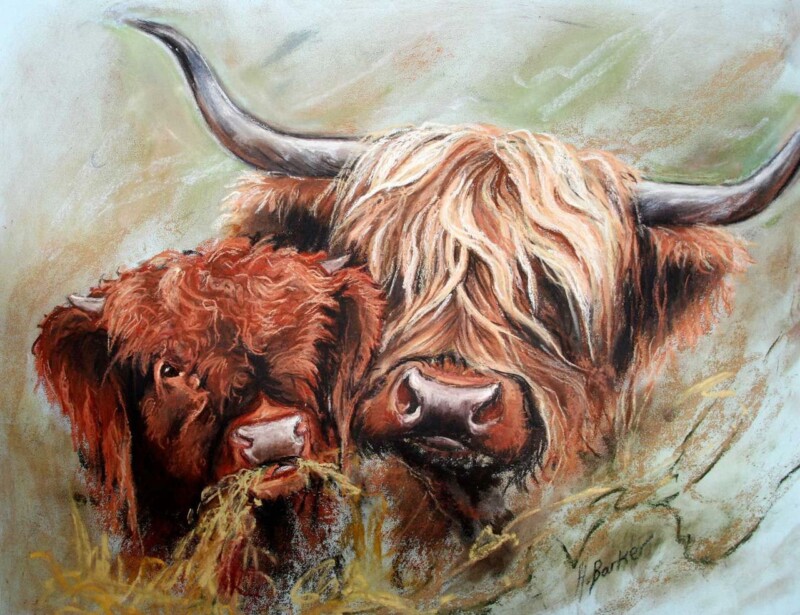 Image of Lourin and Her Bull Calf by Hillary Barker